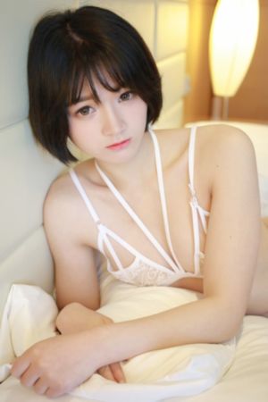 朋友的朋友8_DVD免费电视剧