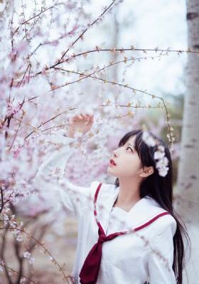 一路向西电影在线_蓝光在线观看完整版